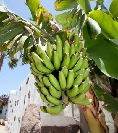 Playa Blanca Sleeps 6 Pool Wifi Appartement Playa Blanca (Lanzarote)